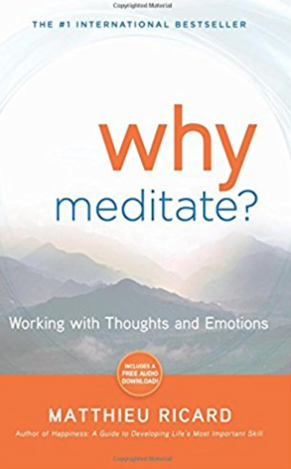 Why Meditate? — Matthieu Ricard